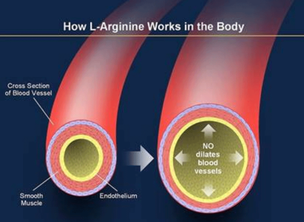 What Is Arginine & How Does it Benefit Skin Care?