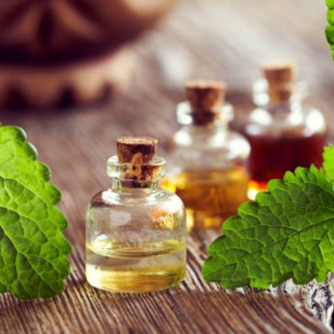 The Secret Power of Organic Peppermint Essential Oil